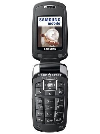 Samsung SGH-E308